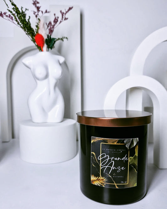 Conseils D'utilisation